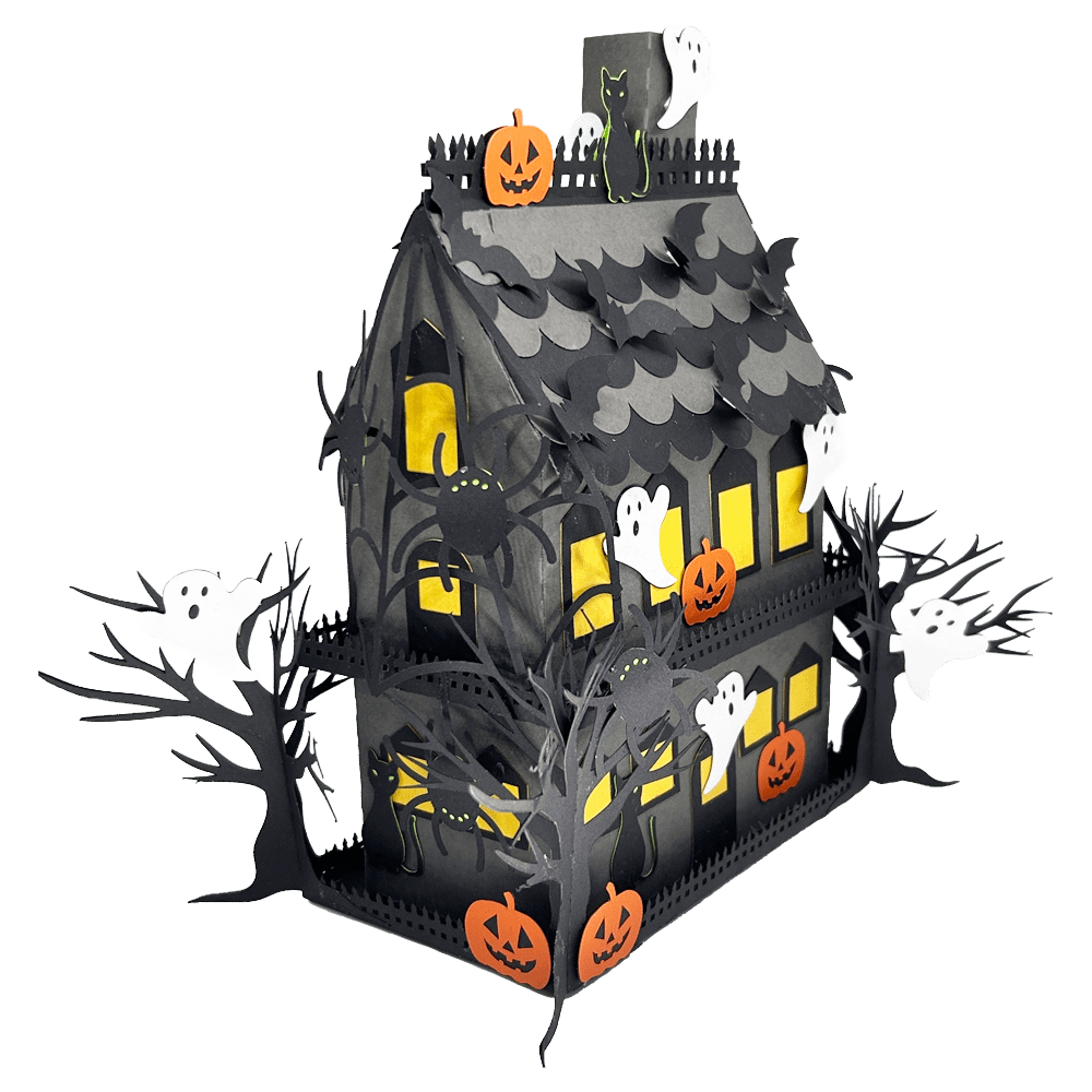 data analyst to designer Creative journey after 50 Data analyst turned artist Women returning to creativity