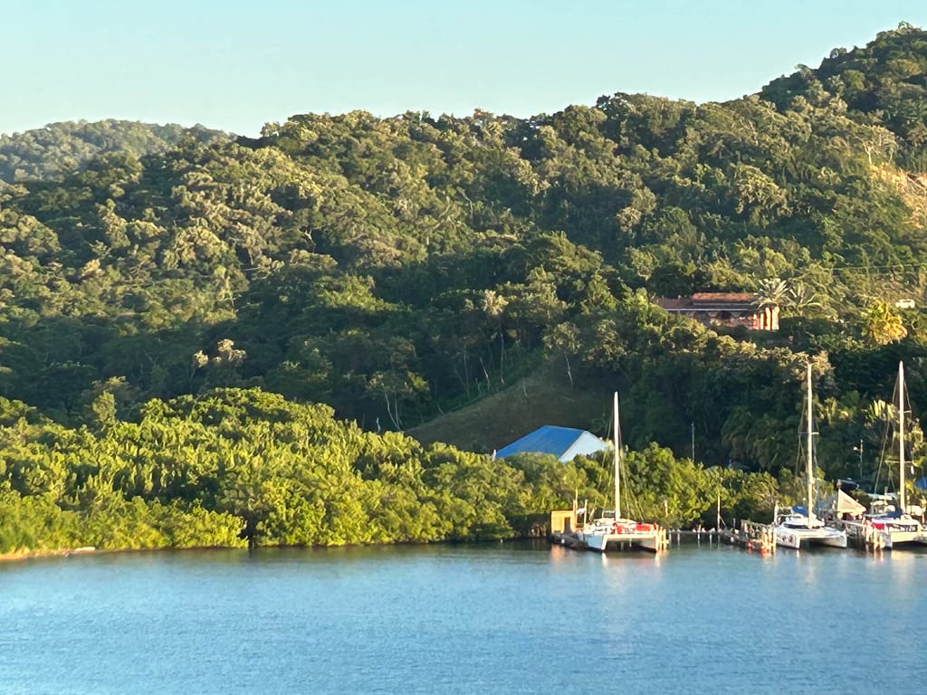 Enchanted Canopy sloth fabric Roatan Honduras white sandy beach dense tropical forest