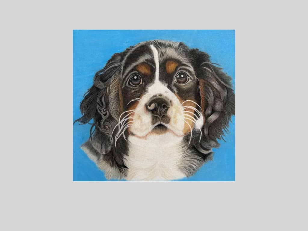 Custom Pet Portraits—Colored Pencil Dog