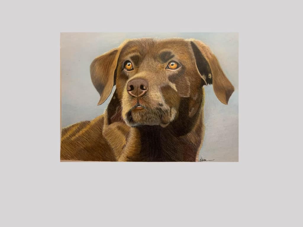 A Custom Pet Portrait of a dog