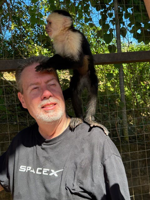 Tropical monkey Nature inspired fabric patterns Barbara Zimmermann